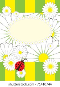 Greeting card with ladybird and chamomile
