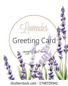 Greeting card with lavender flowers and place for text. Vector
