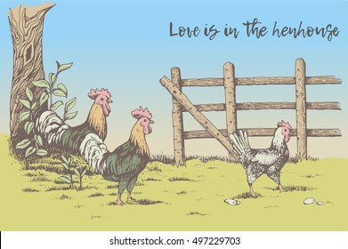 Greeting card. Love is in the hen house. Two roosters looking at the hen in the farm. Countryside. Beautiful nature, tree with leaves, next to the fence.