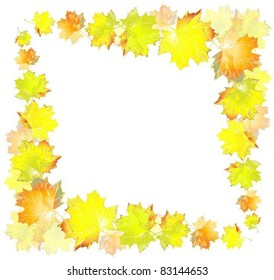 Greeting card with maple leaves.