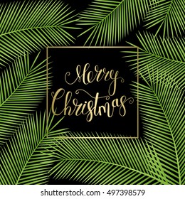 11,234 Tropical christmas border Images, Stock Photos & Vectors ...