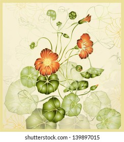 Greeting card with nasturtium. Illustration nasturtium.  Beautiful decorative card with flowers. 