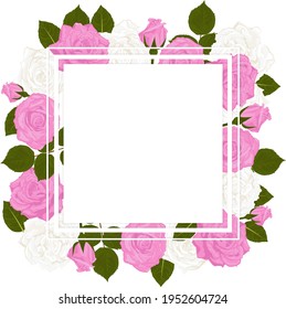 Greeting card on pink and white roses and leaves. Vector illustration.