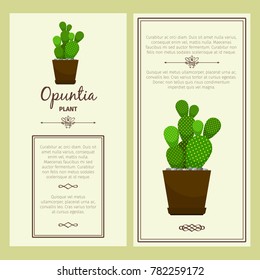 Greeting card with opuntia decorative plant, square frame. Vector illustration