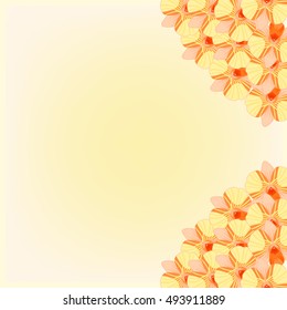 greeting card with orange orchids on holiday vector illustration
