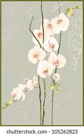 Greeting card with orchid. Illustration ocrhid.