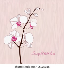 Greeting card with orchids