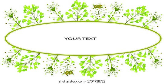 greeting card with an oval and the image of flowers and leaves of a plant shepherd’s bag
