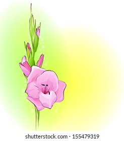 Greeting card with a pink flower. A vector.