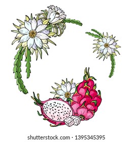 Greeting card with Pink pitaya.Summer tropical illustration.Food for healthy lifestyle.Red dragon whole fruit and half.Hand drawn wreath.Isolated sketch on a white background.