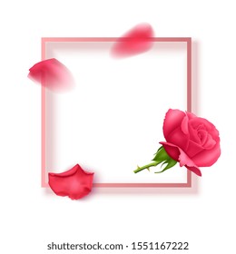 Greeting card with pink text frame and rose petals, postcard decorated with roses, vector EPS 10 format