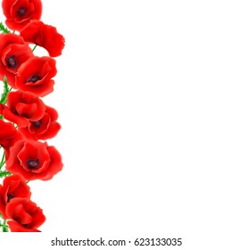 Greeting card Poppies flowers. Can be used as invitation card for wedding, birthday and other holiday and summer background. Vector illustration EPS10