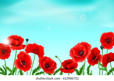 Greeting card Poppies flowers, delicate buds. Can be used as invitation card for wedding, birthday and other holiday and summer background. Vector illustration