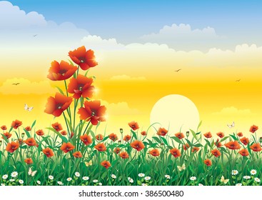 Greeting card with poppies on a background sunset