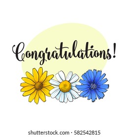 Greeting card, postcard template with wild, field flowers and congratulations, sketch vector illustration isolated on white background.