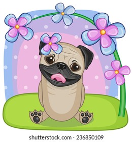 Greeting card Pug Dog with flowers 