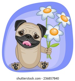 Greeting card Pug Dog with flowers 