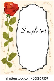 Greeting card with red rose and space for placing your own text on a background that resembles the old paper 