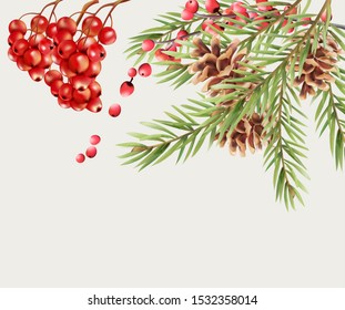 Greeting card with red viburnum berries, conifer cone and fir leaves. Vector