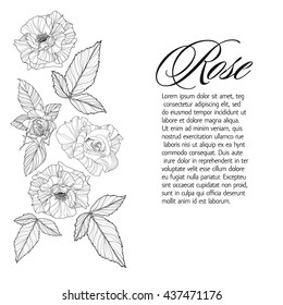 Greeting card with rose collection, ink sketch, can be used as invitation card for wedding, birthday and other holiday and summer background. Vector illustration.
