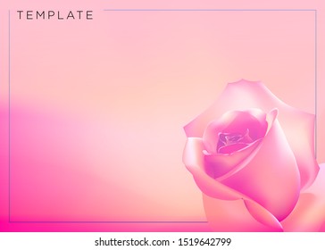 Greeting card with rose. Template. Background