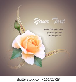 Greeting card with rose, vector illustration