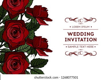 Greeting card with roses, can be used as invitation card for wedding, birthday and other holiday and summer background. Vector illustration.