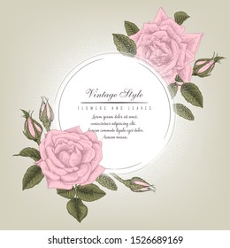 Greeting card with roses, can be used as invitation card for wedding, birthday and other holiday and  summer background. Vector illustration.  Botanical art. Engraving style.
