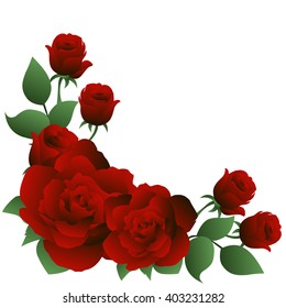 Greeting card with roses, can be used as invitation card for wedding, birthday and other holiday and summer background. Vector illustration.
