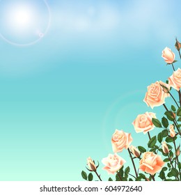 Greeting card with roses, delicate buds, flowers, branches. Can be used as invitation card for wedding, birthday and other holiday and summer background. Vector illustration EPS10