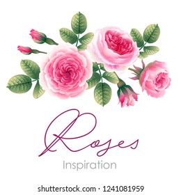 Greeting card with roses. Realistic illustration in the pastel color.  Delicate pink roses. Design for wedding invitations,  cosmetics,  healthcare products. Isolated on the white background.