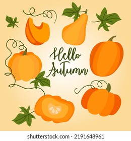Greeting card and set "Hello autumn". Cartoon autumn pumpkins set. Various shapes and sizes of orange pumpkin are isolated on a white background. Vector illustration. Printing, kitchen, food, products
