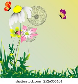 Greeting card. Set of Summer, wild flowers.