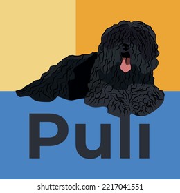 Greeting card with a sitting Puli breed dog. Colorful dog art. The postcard is for dog lovers. Pet character postcard art. Funny dog mascot, and a detailed pet illustration.