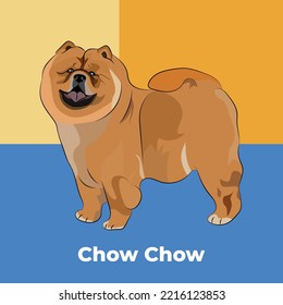 Greeting card with a sitting staying Chow Chow breed dog. Colorful dog art. The postcard is for dog lovers. Pet character postcard art. Funny dog mascot, and a detailed pet illustration.