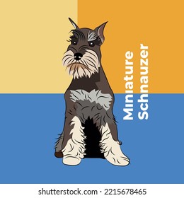 Greeting card with a sitting staying mini breed dog. Colorful dog art. The postcard is for dog lovers. Pet character postcard art. Funny dog mascot, and a detailed Miniature Schnauzer illustration.