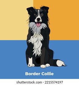 Greeting card with a sitting staying mixed breed dog. Colorful dog art. The postcard is for dog lovers. Pet character postcard art. Funny dog mascot, and a detailed Border Collie illustration. Flat.