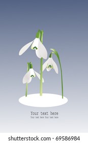 Greeting card with snowdrops