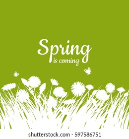 Greeting card Spring background, grass, chamomile flowers, dandelions, butterflies, vector, illustration