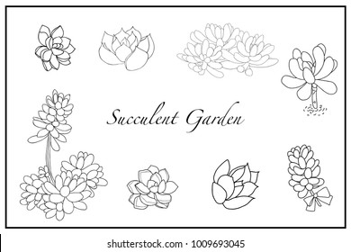 Greeting card with Succulent Plants black and white silhouette. Vector Illustration with lettering Succulent Garden.