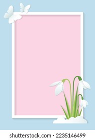 Greeting card template for International Women's Day or other spring holiday in paper cut style with snowdrops, butterflies and frame for lettering on pink blue background