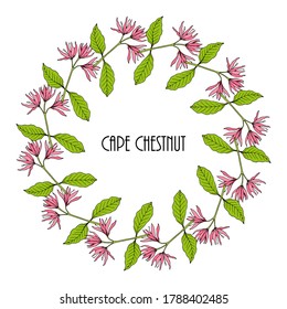 Greeting card template with round frame wreath of Cape chestnut (Calodendrum capense), vector illustration