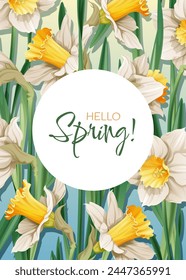 Plantilla de tarjeta de felicitación con flores de primavera. Anuncio, cartel con narcisos. Ilustración de Pascua de flores delicadas en estilo de dibujos animados para tarjeta, invitación, fondo, etc.
