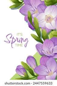Plantilla de tarjeta de felicitación con flores de primavera. Anuncio, cartel con freesia púrpura. Ilustración vectorial de flores delicadas en estilo de dibujos animados para tarjeta, invitación, fondo, etc.