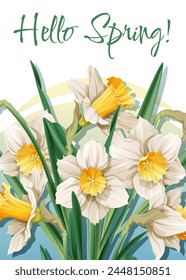 Plantilla de tarjeta de felicitación con flores de primavera. Anuncio, cartel con narcisos. Ilustración de Pascua de flores delicadas en estilo de dibujos animados para tarjeta, invitación, fondo, etc.