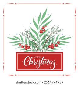 Greeting card template for winter holidays. Green fir, twigsred and berries. Vector illustration.