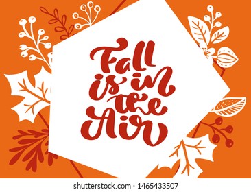 greeting card with text Fall is in the Air. Orange background and white leaves of maple, birch tree, october or november foliage, oak and fall nature season poster or banner design