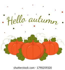 Greeting card with text Hello Autumn. Vector illustration with orange pumpkins and green leaves. White background with multi-colored circles.