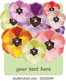 Greeting card with tulip flowers