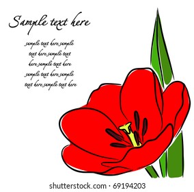 Greeting card with Tulip, vector
